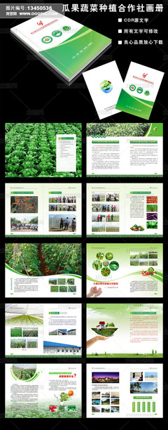 绿色蔬果农业生态环保画册设计/瓜果蔬菜